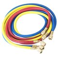 Robinair 1/4" Standard Hoses with Standard Fittings 30060